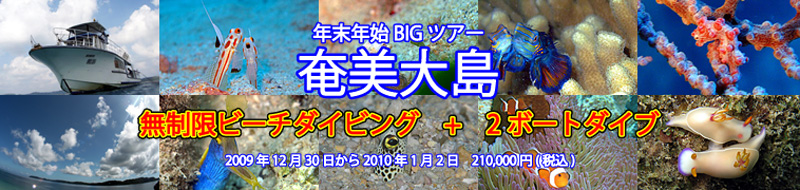 奄美大島ダイビングツアー