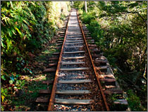 屋久島トロッコ電車跡
