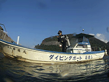ポイント紹介